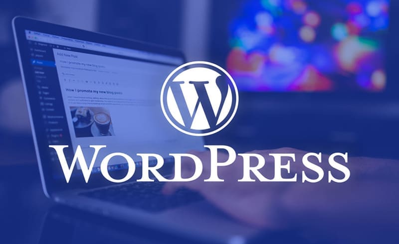Contact Form di WordPress